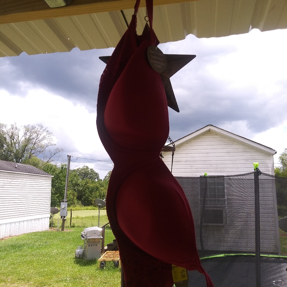 Bra - Picture 2 of 4